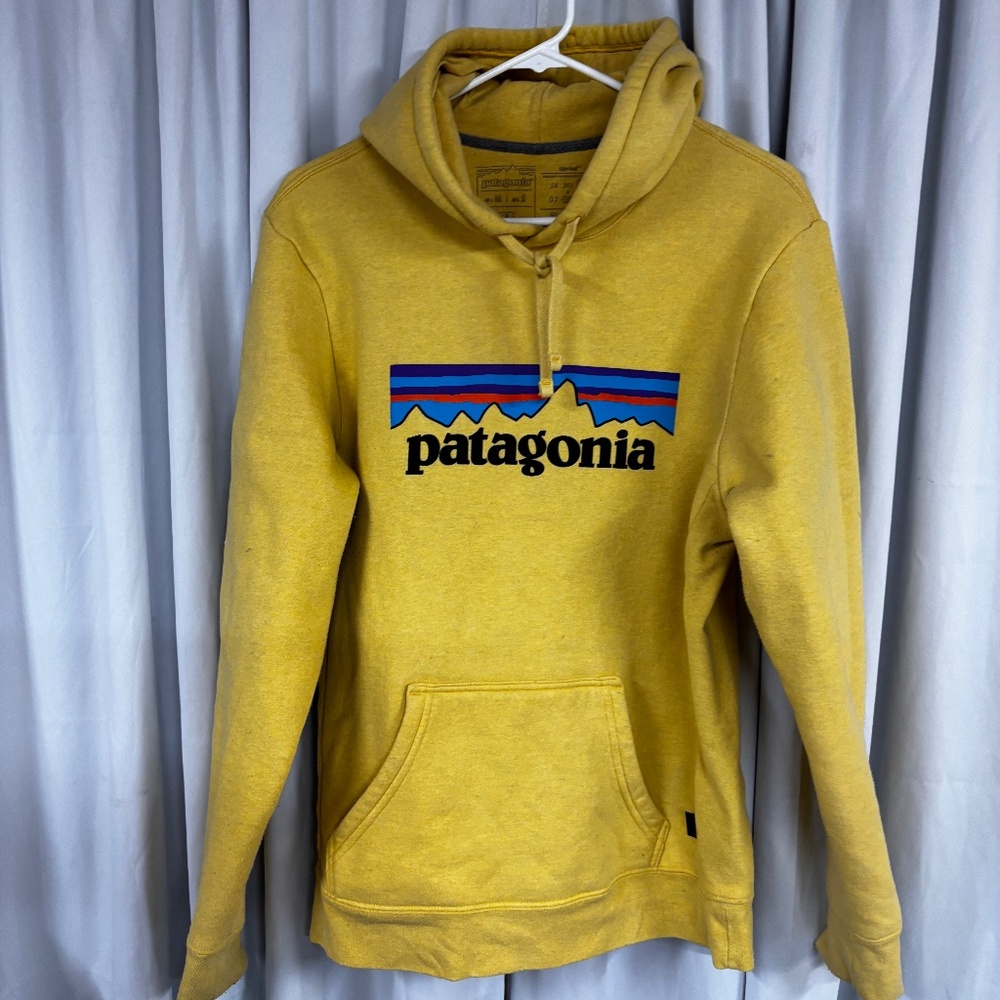 Patagonia hoodie